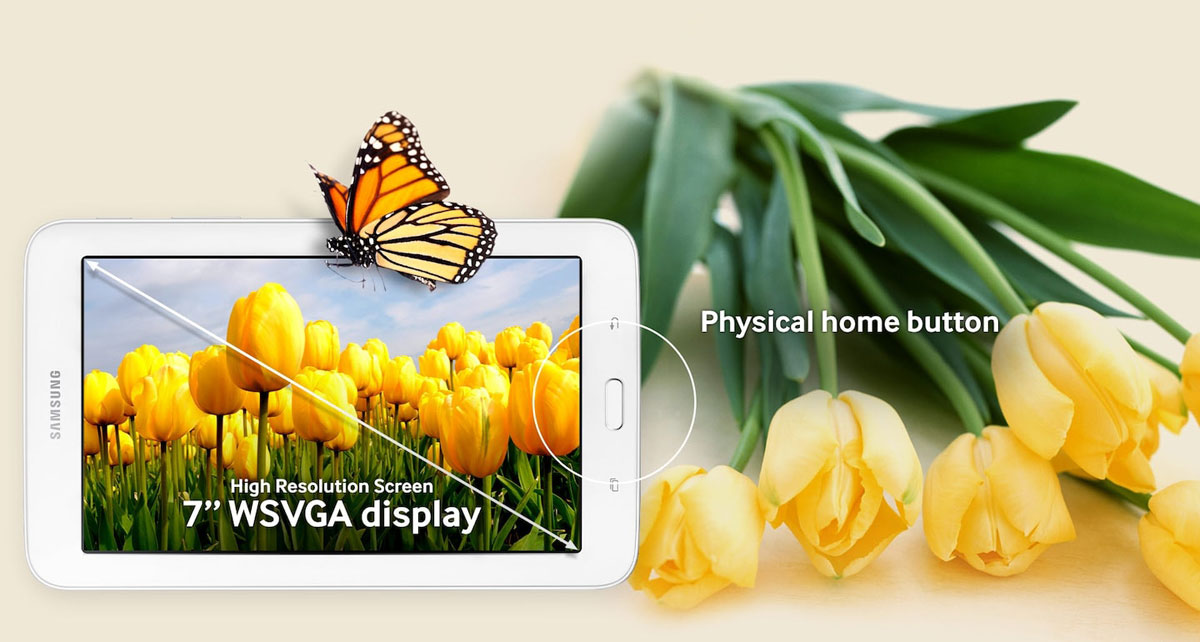 2_Optimal Viewing Experience